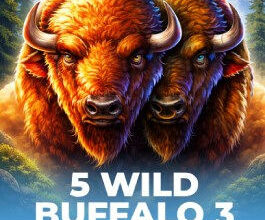 5 Wild Buffalo 3