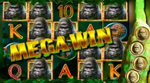Gorilla Kingdom max win video 1